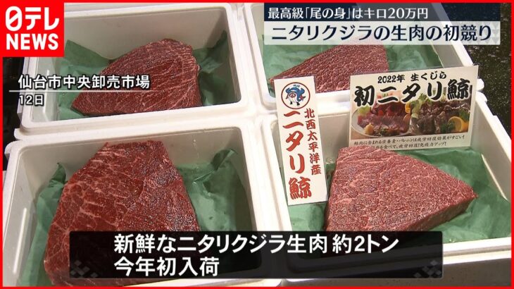 【ニタリクジラ】生肉の初競り 「尾の身」最高値キロ20万円 仙台市中央卸売市場