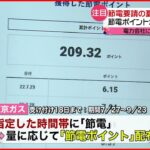 【“節電”の夏】企業が新サービス 夕方に“セール”や節電ポイントで“ギフト券”も…