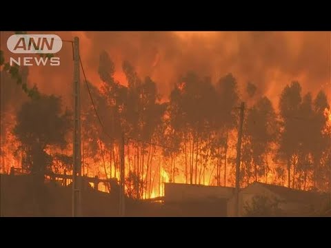 ヨーロッパ南部で記録的な熱波　山火事相次ぐ　ポルトガルでは100人以上のけが人も(2022年7月15日)