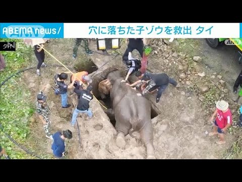 子ゾウが穴に落ち…母親なすすべ無し　決死の救出作戦(2022年7月16日)