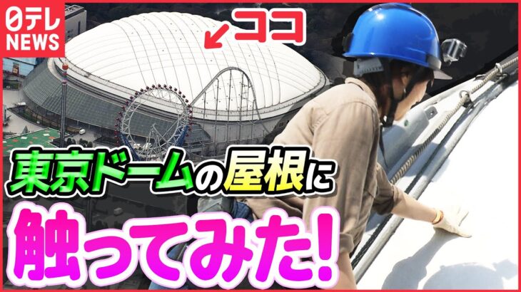 【やってみた】東京ドーム秘密エリアへ潜入!屋根にタッチ!「立ち入り禁止のその先」