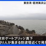 「人のようなものが浮いている」東京・若洲海浜公園で男性1人死亡｜TBS NEWS DIG