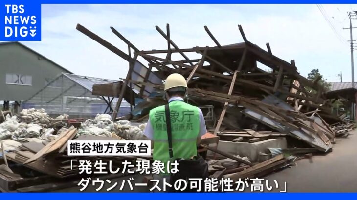 原因は竜巻ではなくダウンバーストの可能性　埼玉・深谷の突風被害｜TBS NEWS DIG