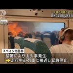欧州で記録的な熱波　発生した山火事で列車緊急停車(2022年7月19日)