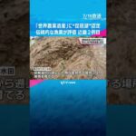 琵琶湖地域の伝統的な漁業などが評価　「世界農業遺産」に琵琶湖地域が認定　近畿で２例目#shorts