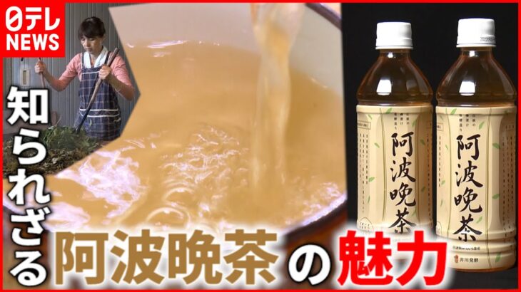 【阿波晩茶】乳酸発酵させるお茶⁉︎ 伝統製法で作られるその味は？　徳島　NNNセレクション