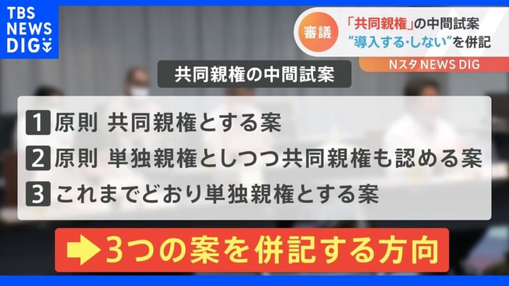 「共同親権」導入の是非　中間試案では複数案併記へ　離婚後の父母双方が子どもの親権持つ案について法制審で賛否両論｜TBS NEWS DIG