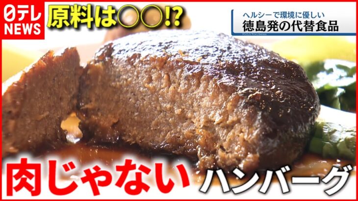 【代替食品】シイタケでできたハンバーグ⁉︎ ヘルシーなその味は？　徳島　NNNセレクション