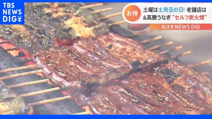 「自分で焼けば数倍おいしく」うなぎ高騰対策？秘策は“セルフ炭火焼き” 老舗店は赤字覚悟の決意｜TBS NEWS DIG