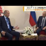 プーチン大統領　穀物輸出めぐりトルコ大統領と会談(2022年7月20日)