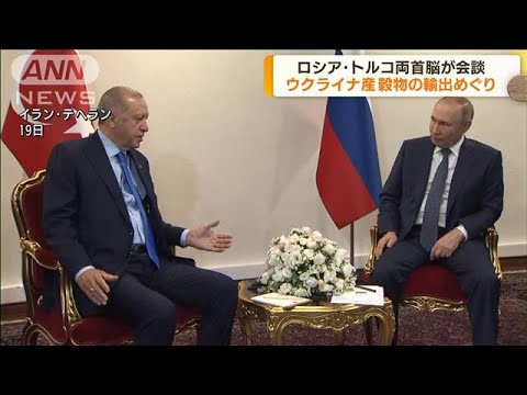 プーチン大統領　穀物輸出めぐりトルコ大統領と会談(2022年7月20日)