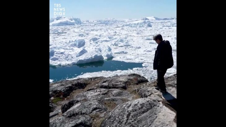 入り江を埋めつくす氷山　世界遺産「アイスフィヨルド」の絶景 | TBS NEWS DIG