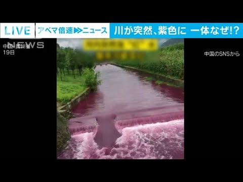 中国で大雨後に川が突然紫色に　地元政府「住民がペンキを誤って落とした」(2022年7月21日)
