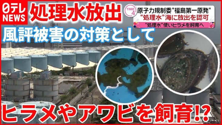 【福島第一原発】”処理水”海に放出を認可 ヒラメなどで飼育試験を計画