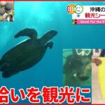 【グップラ】沖縄の海に“漂着ゴミ” サンゴやウミガメに被害