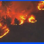 米カリフォルニア州ヨセミテ国立公園周辺で山火事 知事が非常事態宣言｜TBS NEWS DIG