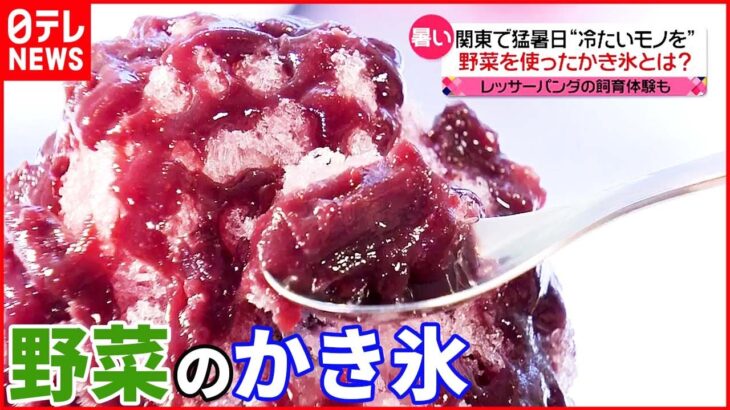【関東で猛暑日】トマトやナスも…“野菜のかき氷”人気！