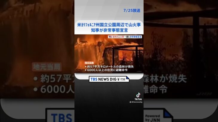 米 カリフォルニアで山火事　知事が「非常事態宣言」 #shorts