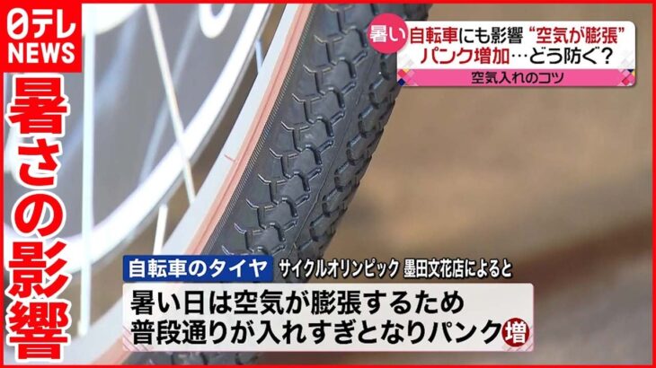 【猛暑の影響】車の修理依頼や自転車のパンクが増加 福井では「ブランドサバ」が…