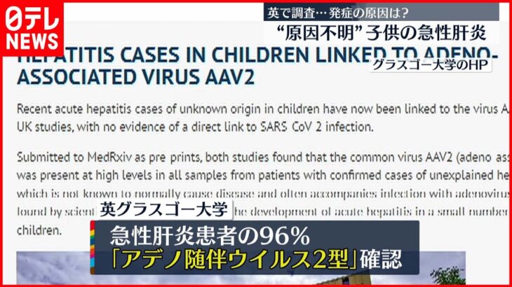 【原因不明の子どもの”急性肝炎”】アデノウイルスと関連するウイルスが関係か