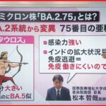 【解説】「ケンタウロス」と呼ばれる新たな変異株「BA.2.75」特徴は…