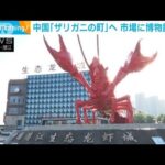 巨大ザリガニがお出迎え　市場に博物館まで　中国「ザリガニの町」(2022年7月27日)