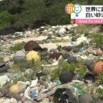 【グップラ】沖縄の海に“漂着ゴミ”･･･「観光地も疲れている」と“新しい観光”を提案した女性たち