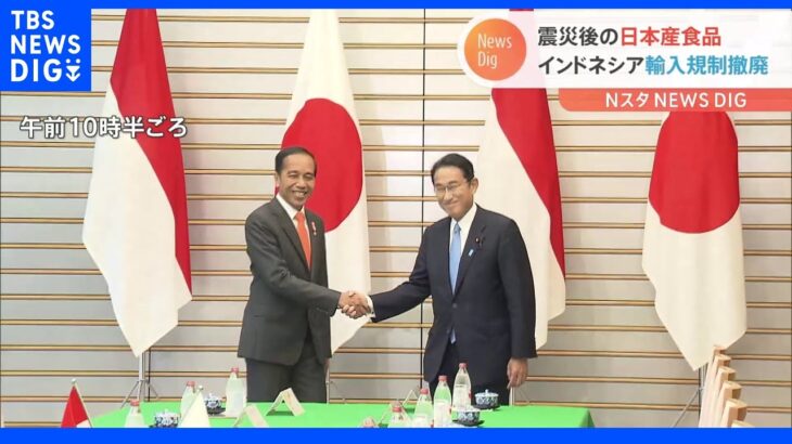 岸田総理とインドネシア大統領が首脳会談　日本産食品の輸入規制全撤廃を表明｜TBS NEWS DIG