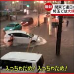 【激しい雨】関東で連日“局地的雷雨” 埼玉では“大規模冠水”も