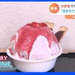“かき氷、包んじゃいました”　東京都内に新感覚の氷スイーツが登場！“まるでケーキなかき氷”その名も「MELT BOWL」| TBS NEWS DIG