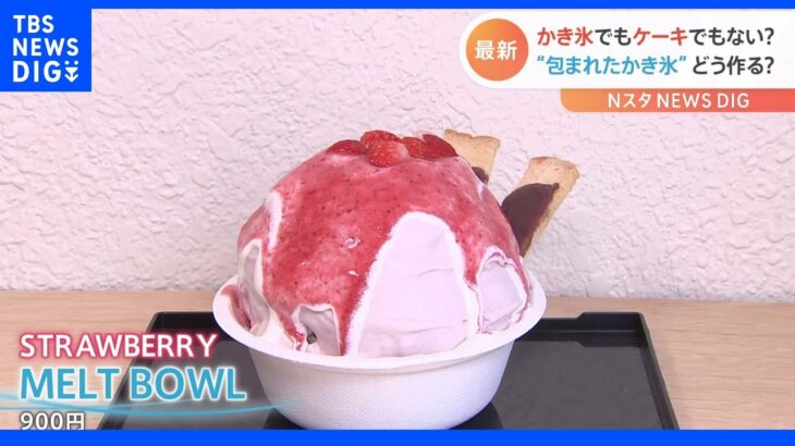 “かき氷、包んじゃいました”　東京都内に新感覚の氷スイーツが登場！“まるでケーキなかき氷”その名も「MELT BOWL」| TBS NEWS DIG