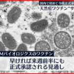 【専門部会了承】“天然痘ワクチンをサル痘に” 臨床試験では約85％の発症予防効果