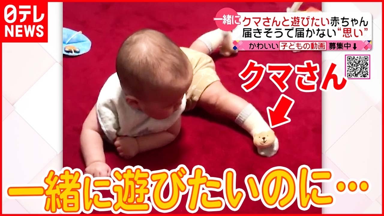 【かわいい】クマさんと遊びたい…くるくる回っちゃう赤ちゃん