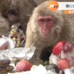 暑い！動物園では猿に氷をプレゼント　京都市の最高気温は37.4℃　8月1日も猛暑の予想（2022年7月31日）