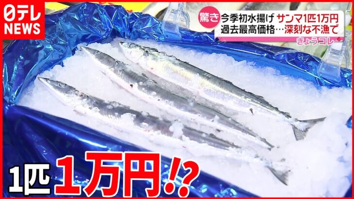 【サンマ】“初水揚げ”わずか24匹 鮮魚店では1匹“1万円” 北海道