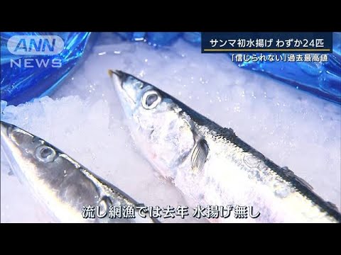 サンマ初水揚げ わずか24匹…庶民の魚が1匹1万円に(2022年7月14日)