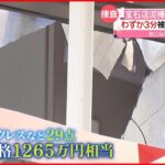 【犯行時間3分】宝石店泥棒の“指示役”とみられる男逮捕