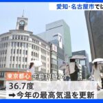 東京都心で今年最高の36.7度観測し7日連続猛暑日に 名古屋は40度予想｜TBS NEWS DIG