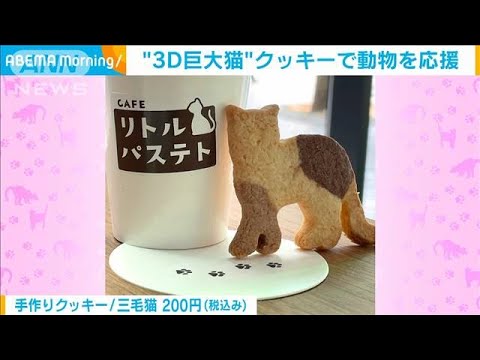 “3D巨大猫”コラボカフェが話題　猫型クッキーで動物を応援(2022年7月15日)