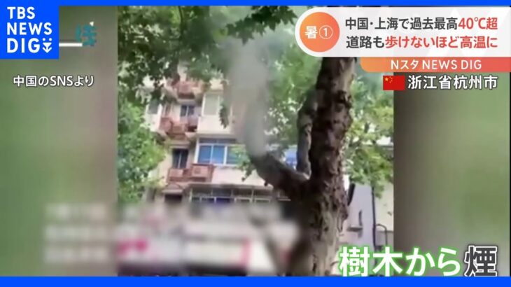中国で猛暑　上海では観測史上最高の40.9度観測　樹木が自然発火、道路も歩けないほど高温に　ヨーロッパ南部でも40度越えの猛暑続く｜TBS NEWS DIG