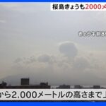 警戒レベル5の桜島で噴煙2000mまで上がる　避難指示継続も住民約1時間の一時帰宅へ　鹿児島｜TBS NEWS DIG