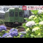 「ぬれ煎餅」や「まずい棒」が貢献　銚子電鉄が6年ぶり黒字に(2022年7月5日)
