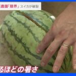 東京6日連続猛暑日 “熱中症”で226人が救急搬送 農作物が深刻ダメージでスイカが破裂…｜TBS NEWS DIG