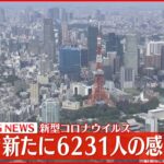 【速報】東京6231人の新規感染確認 新型コロナ 11日
