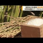 食用米の生産量　初の700万トン割れへ(2022年7月27日)