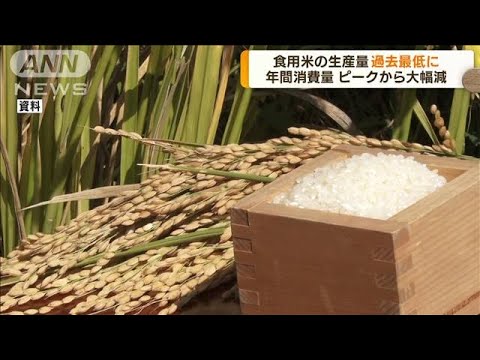 食用米の生産量　初の700万トン割れへ(2022年7月27日)
