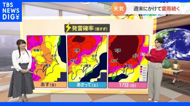 【7月15日 関東の天気】週末にかけて雷雨続く｜TBS NEWS DIG