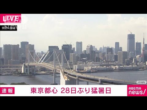 【速報】東京都心で猛暑日　7月3日以来28日ぶり(2022年7月31日)