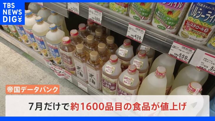 7月で値上げラッシュ　iPhoneは1万9000円値上げ　食品約1600品目も｜TBS NEWS DIG