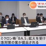 「BA.5」緊急対策案を提出　帰省の際の事前検査、効率的な換気など　コロナ対策分科会｜TBS NEWS DIG